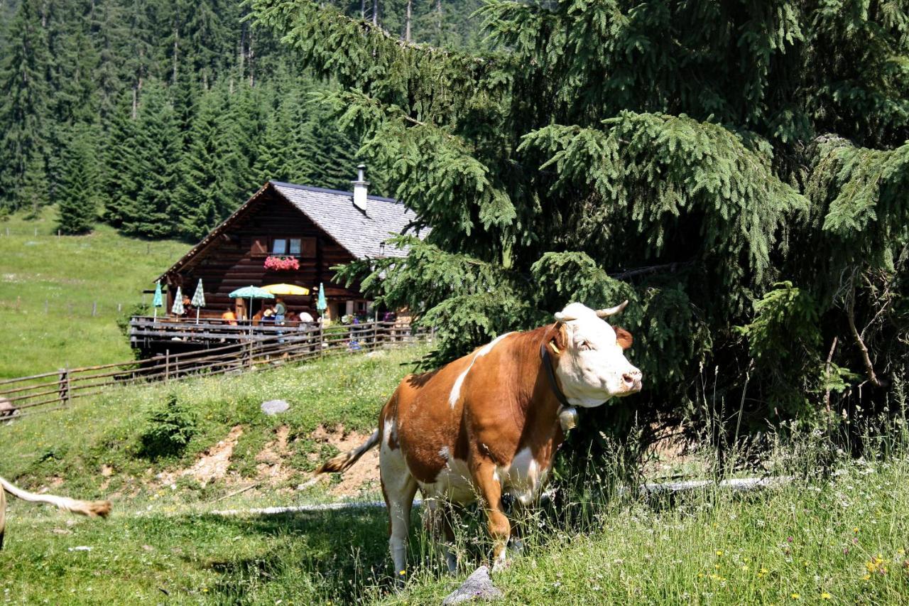 Chalet 164 Bad Goisern Eksteriør bilde