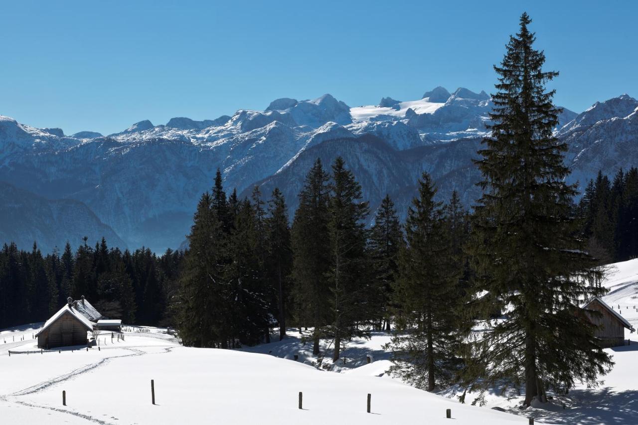 Chalet 164 Bad Goisern Eksteriør bilde